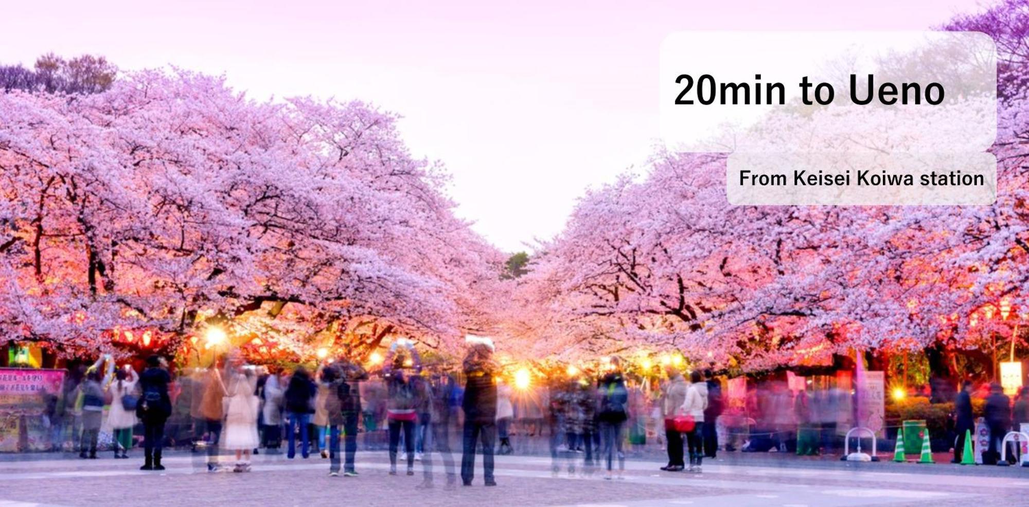 Asahistay -Koiwa, Free Parking O, Whole Family House, Japanese Garden Taste 東京都 エクステリア 写真