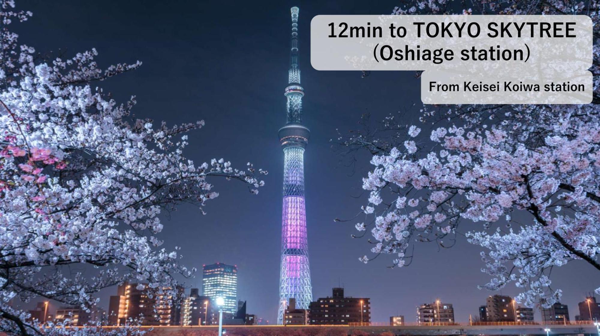Asahistay -Koiwa, Free Parking O, Whole Family House, Japanese Garden Taste 東京都 エクステリア 写真